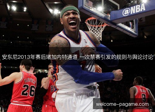 安东尼2013年赛后堵加内特通道 一次禁赛引发的规则与舆论讨论